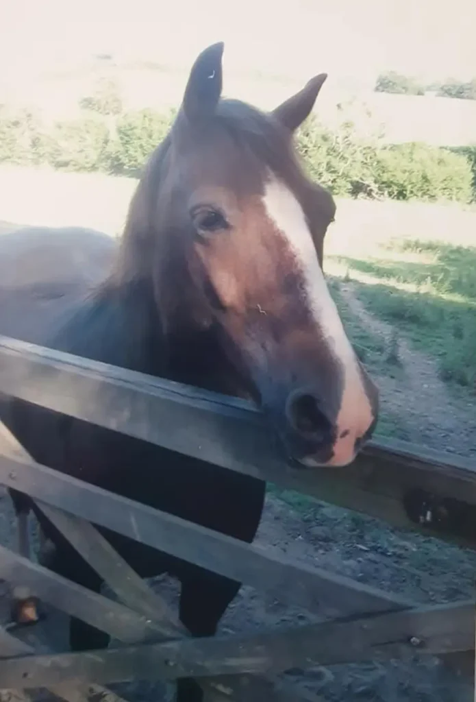 Mac